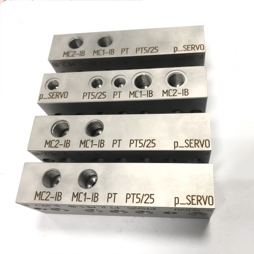 Pneumatic Manifolds